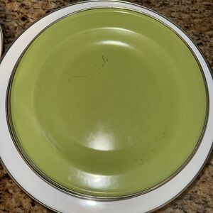 Pottery Barn Green and White Outdoor Dinner Plates and Chargers Set